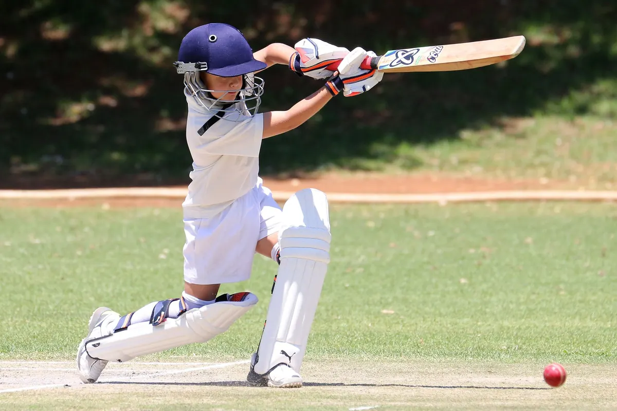 Kashmir Willow vs English Willow Bats: Which Should a Beginner Buy First?